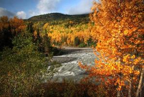 Autumn colors along Tanzilla River in Northern British Columbia photo