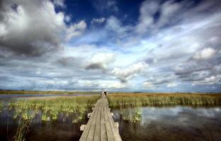 Scenic view of Saskatchewan marshes photo