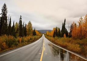 Wet Cassiar Highway through Northern British Columbia photo