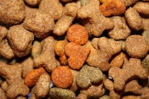 Dog dried healthy food from purina close up background high quality big size prints photo