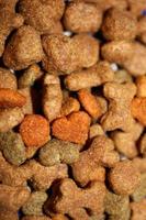 Dog dried healthy food from purina close up background high quality big size prints photo