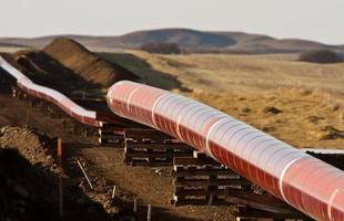 Pipes laid out for Natural Gas Pipeline photo