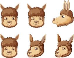 A set alpaca on white background vector