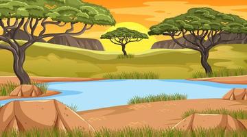 Savanna forest landscape at sunset time vector