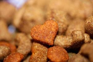 Dog dried healthy food from purina close up background high quality big size prints photo