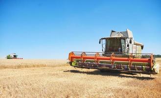 combine harvester working on a wheat field photo