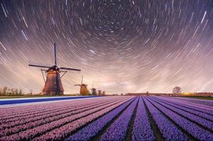 Night over fields of daffodils. Fantastic starry sky and the milky way photo