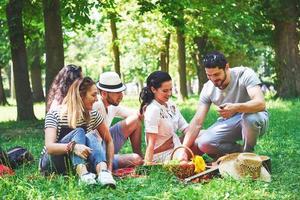 Group of friends having pic-nic in a park on a sunny day - People hanging out, having fun while grilling and relaxing photo