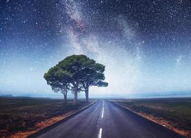 carretera asfaltada y árbol solitario bajo un cielo nocturno estrellado y la vía láctea foto