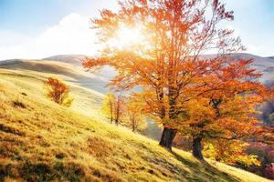 Autumn in mountain, amazing landscape photo