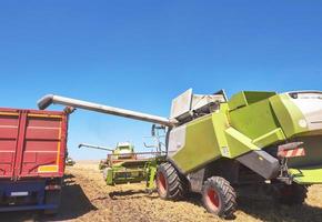 Combine harvester in action on wheat field. Harvesting is the process of gathering a ripe crop from the fields photo