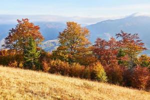 otoño en la montaña, paisaje asombroso foto