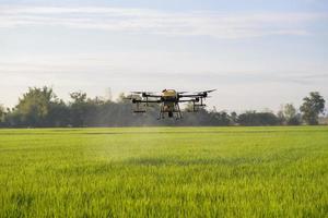 drones agrícolas volando y rociando fertilizantes y pesticidas sobre tierras de cultivo, innovaciones de alta tecnología y agricultura inteligente foto