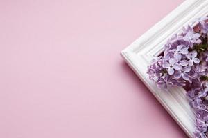 flores lilas con un marco de madera sobre un fondo rosa. concepto de primavera con espacio de copia. foto