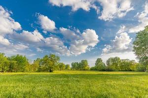 Nature scenic trees and green meadow field rural landscape with bright cloudy blue sky. Idyllic adventure landscape, natural colorful foliage