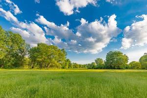 árboles escénicos de naturaleza y paisaje rural de campo de pradera verde con cielo azul nublado brillante. paisaje idílico de aventuras, follaje colorido natural foto