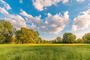 Nature scenic trees and green meadow field rural landscape with bright cloudy blue sky. Idyllic adventure landscape, natural colorful foliage