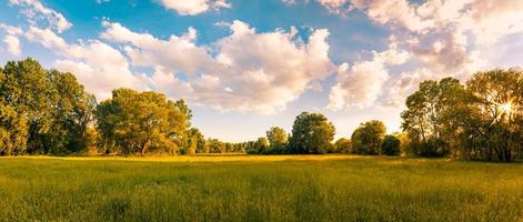 Nature scenic trees and green meadow field rural landscape with bright cloudy blue sky. Idyllic adventure landscape, natural colorful foliage photo