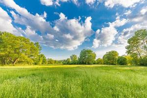 Nature scenic trees and green meadow field rural landscape with bright cloudy blue sky. Idyllic adventure landscape, natural colorful foliage photo