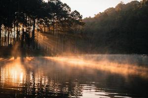 Beatiful nature lake and forest in the morning photo