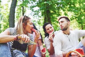 Group of friends having pic-nic in a park on a sunny day - People hanging out, having fun while grilling and relaxing photo