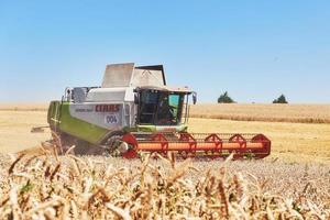 una cosechadora moderna trabajando en un campo de trigo foto