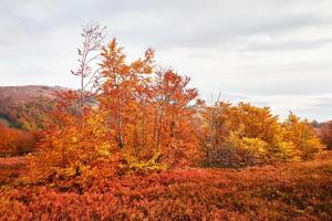 otoño en la montaña, paisaje asombroso foto