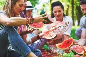 Group of friends having pic-nic in a park on a sunny day - People hanging out, having fun while grilling and relaxing photo