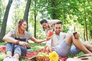 Group of friends having pic-nic in a park on a sunny day - People hanging out, having fun while grilling and relaxing photo
