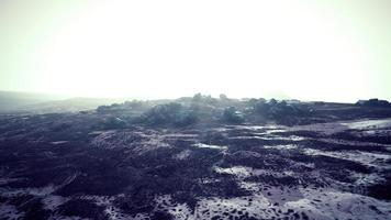 stones in snow on moutain in summer photo