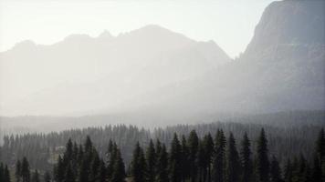 majestuosas montañas con bosque en primer plano en canadá foto