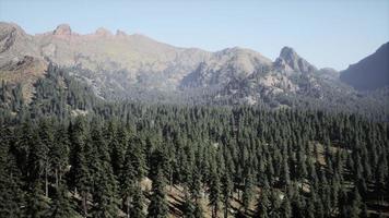 majestic mountains with forest foreground in Canada photo