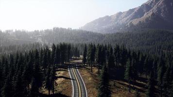 Natural Aerial view on the road and forest at the autumn time photo