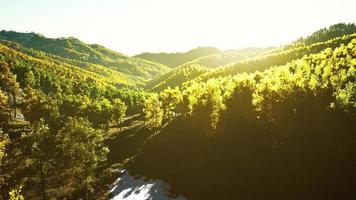 Aerial drone view of a mountain forest with colorful autumn trees photo