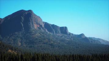 Beautiful sunset view in cedar forest in front of sayan mountain range photo