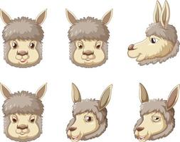 A set alpaca on white background vector