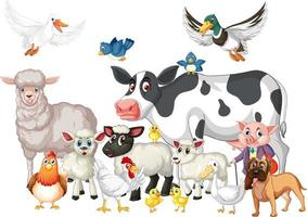 A group of animal farm on white background vector