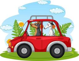 Many dogs riding on red car in the park vector