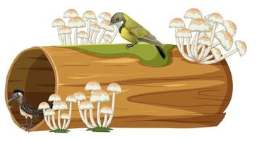 Little bird standing on log vector