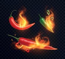 Burning Pepper Realistic Composition vector