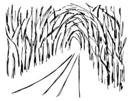 Hand-drawn simple vector sketch with black outline. Landscape, nature, road, path through a dense, overgrown forest, alley of dark trees, tunnel, light at the end.