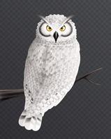 Realistic Snowy Owl Composition
