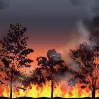 Forest Fire Background vector