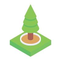 Conifer tree in isometric style icon, editable vector