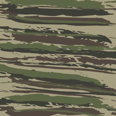 Jungle camouflage stripes animal pattern military background