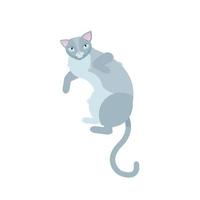 gatos grises solos sobre fondo blanco. guapa divertido jugar felino sentada mamífero domestico kitty. ilustración vectorial de dibujos animados plana.