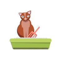 Cat sitting in litter box. Clipart image. Kitty that sits in a cat litter tray. Cat in the toilet . Flat cartoon style vector design illustrations