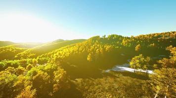 Aerial drone view of a mountain forest with colorful autumn trees