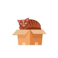 cat in the box. Cat in a cardboard box. Kitty inside carton box. Playful curious cat pet looking out of his hiding. Cartoon kitten in a box adoption Flat style vector character illustration