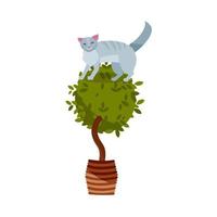 Guilty cat flat vector color character. Cute naughty playful cat damage houseplants. Kitten play with house plant in pot sitting on the top. Cute at playing with home flowers.cartoon illustrations.